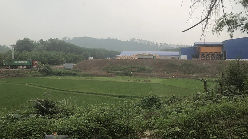Nhiều công trình xây dựng sai phép của Công ty Huarong.