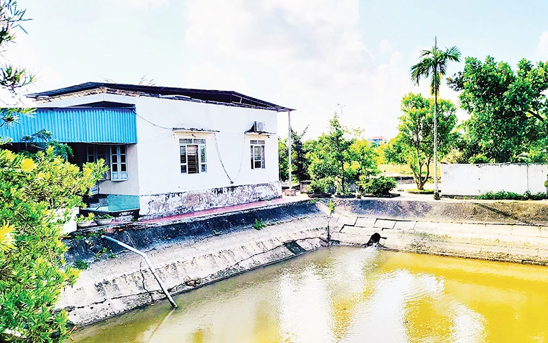 Nhà máy nước Đông Phương (huyện Kiến Thụy) không bảo đảm chất lượng nước sạch cung ứng, gây bức xúc cho người dân sẽ phải thay thế.