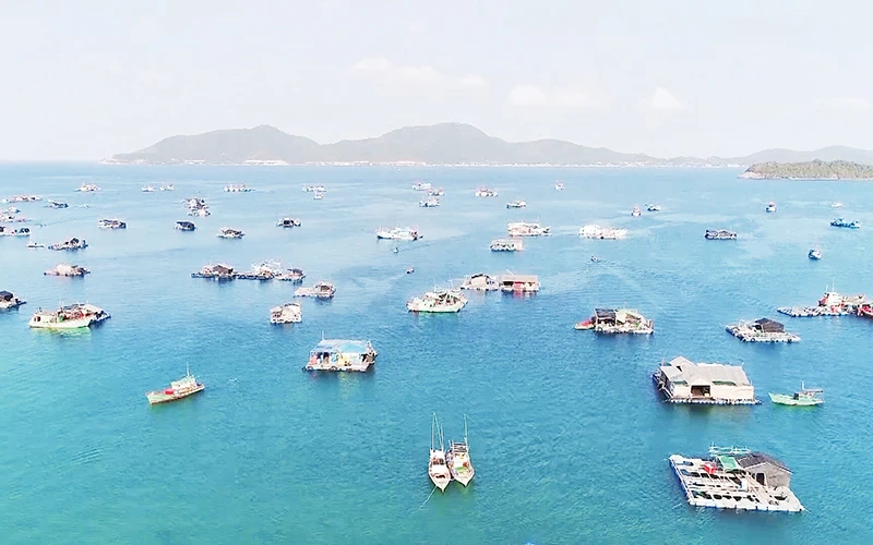  Nuôi cá lồng bè ở ấp Bãi Chướng, xã Hòn Nghệ, huyện Kiên Lương.