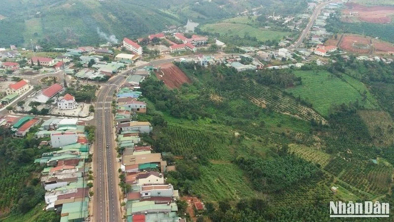 Ảnh minh họa.