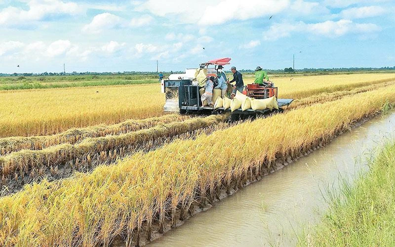 Giá hàng hóa thế giới trở lại diễn biến phân hóa