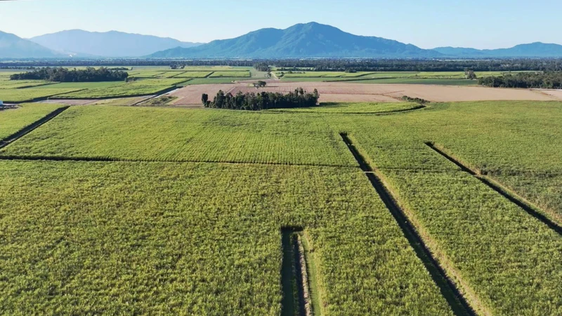 Vùng nguyên liệu mía của Công ty cổ phần Thành Thành Công - Biên Hòa tại Tully, bang Queensland, Australia