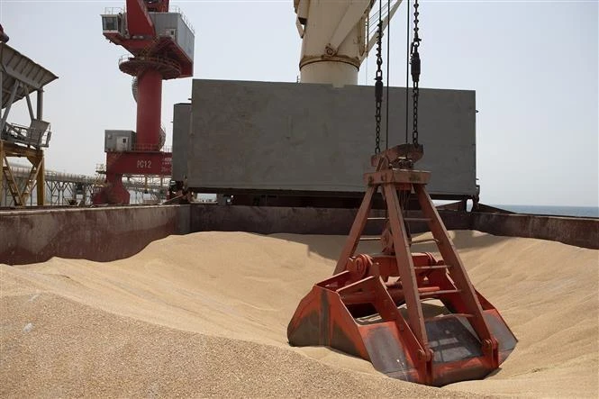 Tàu chở ngũ cốc của Ukraine tới cảng ở Djibouti trong chương trình viện trợ lương thực của Liên hợp quốc, ngày 30/8. (Ảnh: AFP/TTXVN)