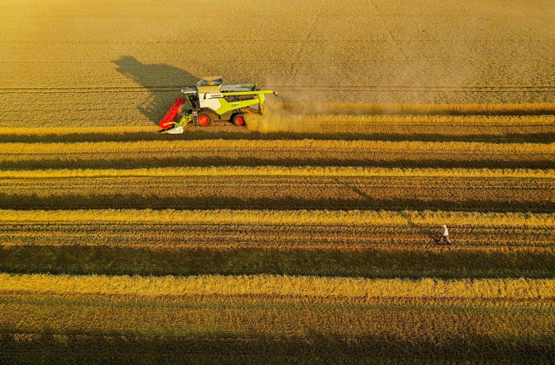 Ảnh minh họa. (Nguồn: Reuters)