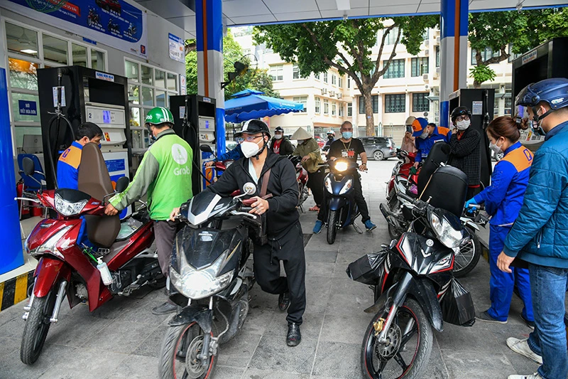 Ảnh minh họa: THÀNH ĐẠT