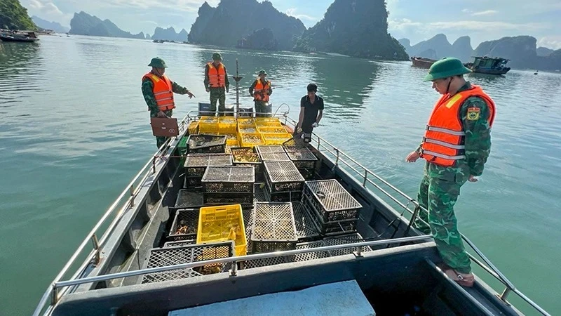 Cán bộ, chiến sĩ bộ đội biên phòng tỉnh Quảng Ninh bắt giữ phương tiện chở gia cầm và trứng gia cầm nhập lậu trên vùng biển xã Quan Lạn, huyện Vân Đồn. (Ảnh Xuân Hùng)