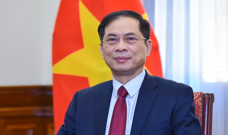 Phó Thủ tướng, Bộ trưởng Ngoại giao Bùi Thanh Sơn. (Ảnh: chinhphu.vn)