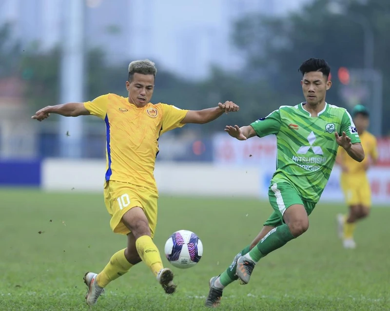 Ảnh minh họa. (Nguồn: phudongfc.com)