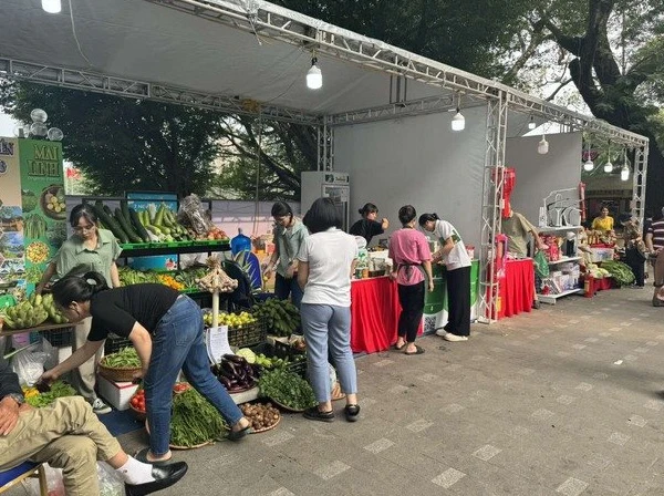 Để người dân xứng đáng được hưởng những giá trị thật từ không gian phố đi bộ Hồ Gươm chứ không phải không gian như những phiên chợ "nhếch nhác" làm xấu đi hình ảnh Hồ Gươm trong mắt du khách trong và ngoài nước. (Ảnh: VGP)