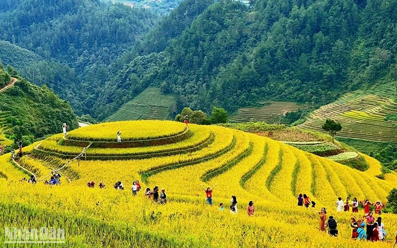 Du khách khám phá vẻ đẹp của ruộng bậc thang tại xã La Pán Tẩn, huyện Mù Cang Chải (Yên Bái). (Ảnh Hạnh Hoàng)
