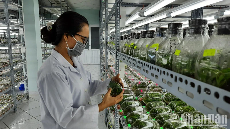 Nguồn nhân lực trình độ đại học trong lĩnh vực nông nghiệp đang trong tình trạng thiếu hụt. 