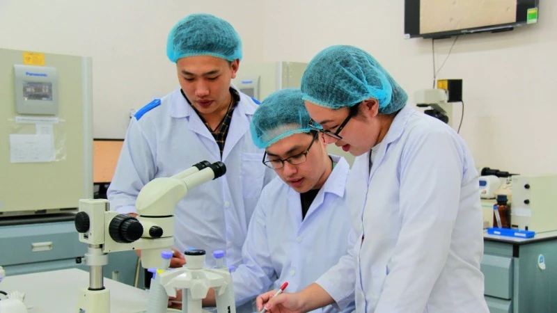 Hoạt động nghiên cứu khoa học tại Đại học Quốc gia Thành phố Hồ Chí Minh.