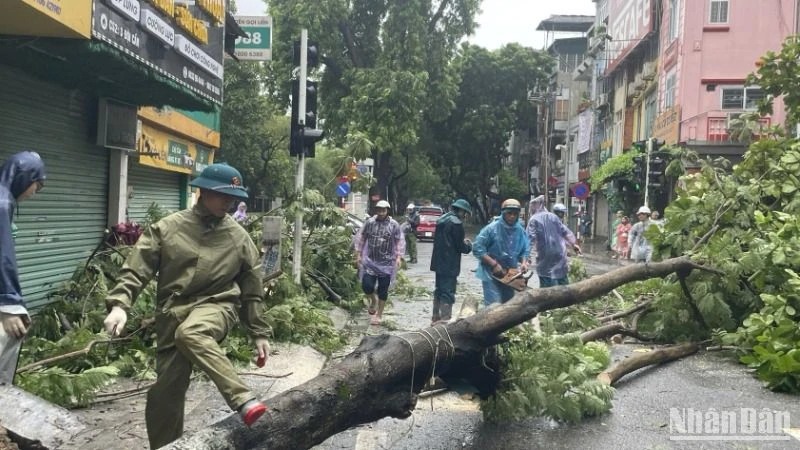 Người dân khắc phục hậu quả sau trận mưa lớn khiến cây cối trên đường phố bị gãy đổ.