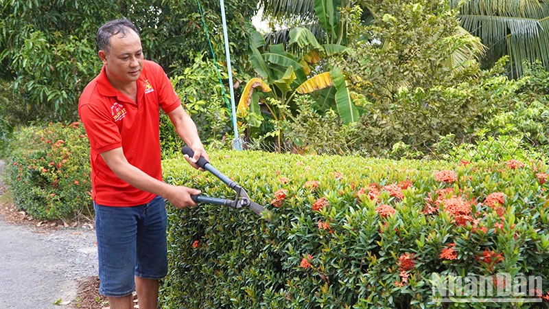 Người dân ấp 5, xã Mỹ Đông cắt tỉa hàng rào cây xanh trước nhà.