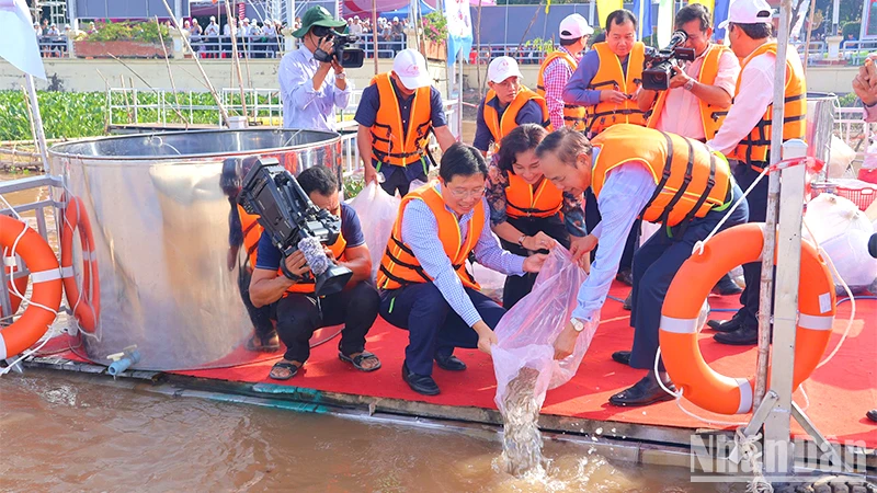 Đại biểu tham gia thả cá giống xuống sông Tiền với mục tiêu tái tạo nguồn lợi thủy sản.
