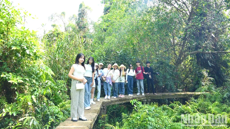 Du khách trẻ tham quan, trải nghiệm dưới tán rừng tràm xanh mướt tại Xẻo Quít, khu “căn cứ lòng dân”. (Ảnh: HỮU NGHĨA)