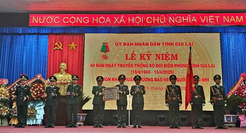 Thừa ủy quyền của Chủ tịch nước, đồng chí Thiếu tướng Nguyễn Đức Mạnh, Phó Tư lệnh Bộ đội Biên phòng đã trao Huân chương Bảo vệ Tổ quốc hạng Nhì tặng Bộ đội Biên phòng tỉnh Gia Lai.