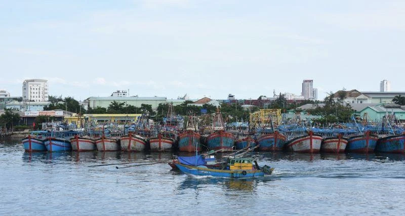 Tàu cá neo đậu tại Âu thuyền cảng cá Thọ Quang, Đà Nẵng.