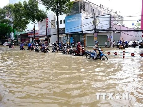 Ngày 13/10, triều cường ở thành phố Cần Thơ tiếp tục dâng cao vượt báo động 3. (Ảnh: Thanh Liêm/TTXVN)