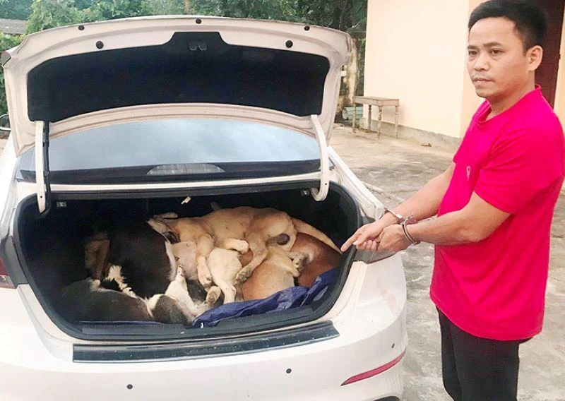 Đối tượng Ngô Bá Phát và tang vật.