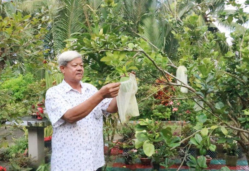 Ông Kim Ruône chăm sóc vườn cây của gia đình.