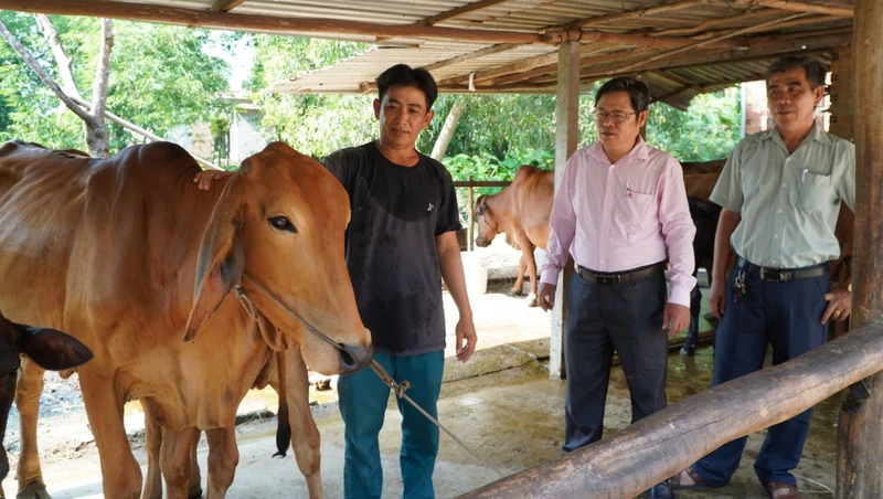 Đa dạng hoá sinh kế để giảm nghèo bền vững được xem là giải pháp hữu hiệu trong thực hiện Chương trình mục tiêu giảm nghèo bền vững trên địa bàn tỉnh.