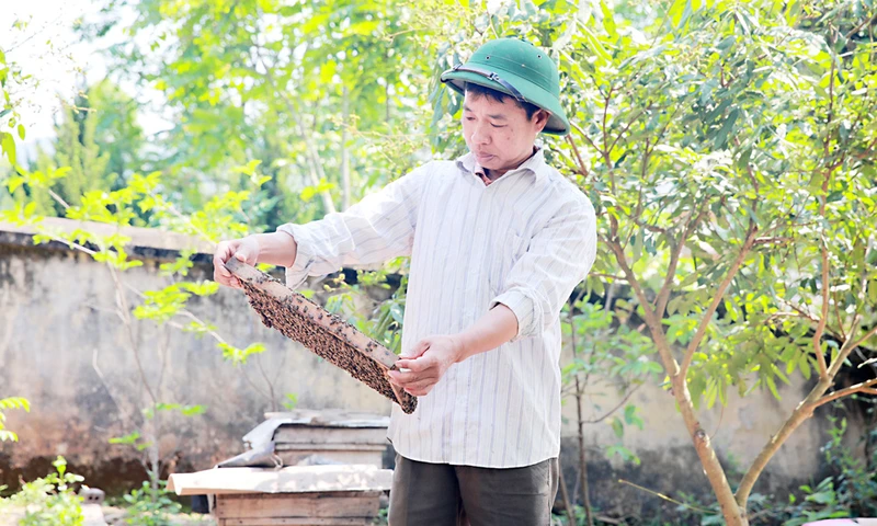 Ảnh minh họa.
