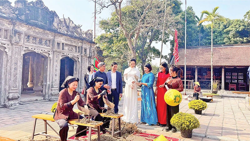 Làng nghề trồng và chế biến dược liệu truyền thống tại huyện Gia Viễn. (Ảnh YẾN TRINH)