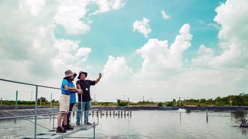 Các chuyên gia thủy sản trao đổi kinh nghiệm tại trang trại nghiên cứu tôm, huyện Cần Giờ, TP Hồ Chí Minh. (Ảnh: THỤC KHUÊ)