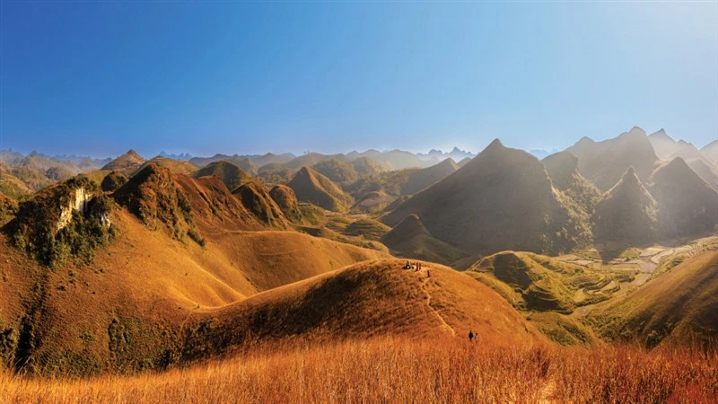 Đồi cỏ cháy Ba Quáng. (Ảnh: AC Thái Dương)