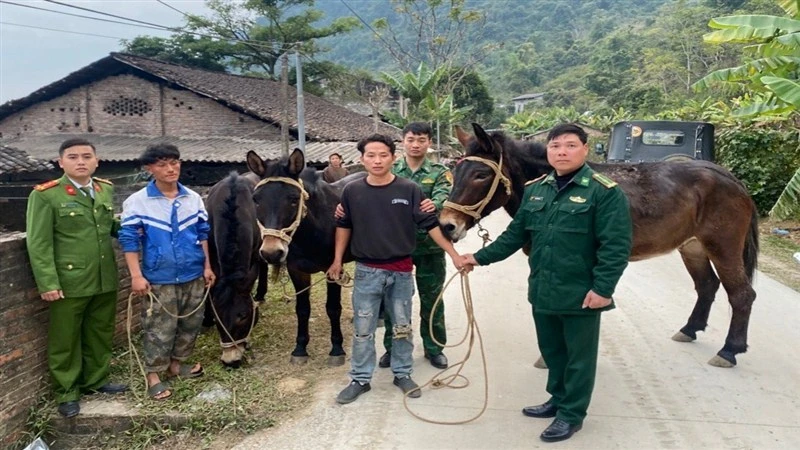 Lực lượng chức năng tỉnh Cao Bằng đấu tranh, nhanh chóng làm rõ vụ việc 3 đối tượng sang bên Trung Quốc ăn trộm gia súc. Ảnh: Công an Cao Bằng