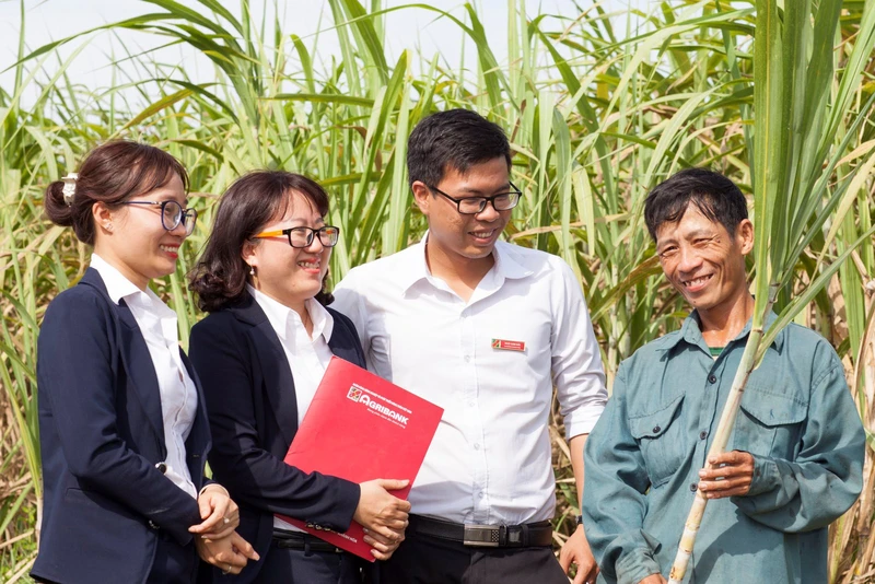 Agribank là công cụ hỗ trợ quan trọng dẫn dắt thị trường trong hoạt động tín dụng lĩnh vực nông nghiệp, nông thôn. Ảnh: AGRIBANK 