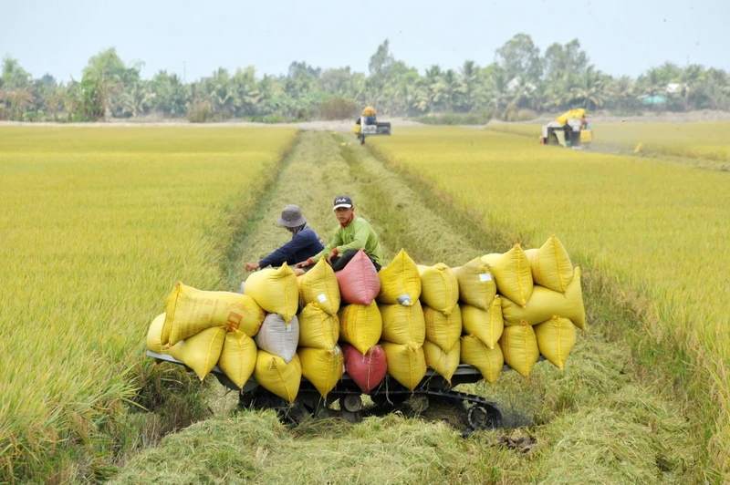Nông nghiệp xanh luôn là điểm đến quan trọng của dòng tín dụng xanh. Ảnh: Lê Tất Tiên