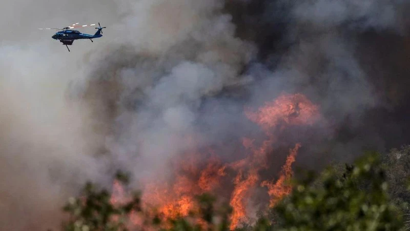 Đám cháy Oak tại California, Mỹ, ngày 24/7/2022. (Ảnh: Reuters)