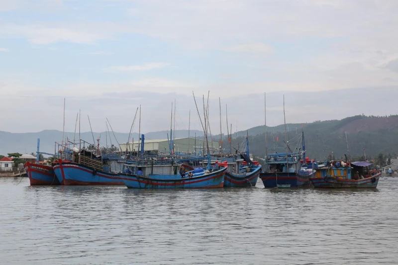 Nhiều tàu cá của ngư dân thị xã Hoài Nhơn đã vào khu neo đậu an toàn.