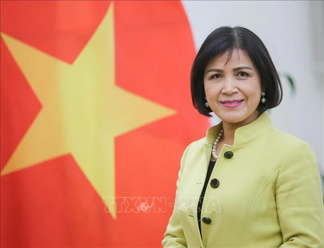  Đại sứ Lê Thị Tuyết Mai. (Ảnh: TTXVN)