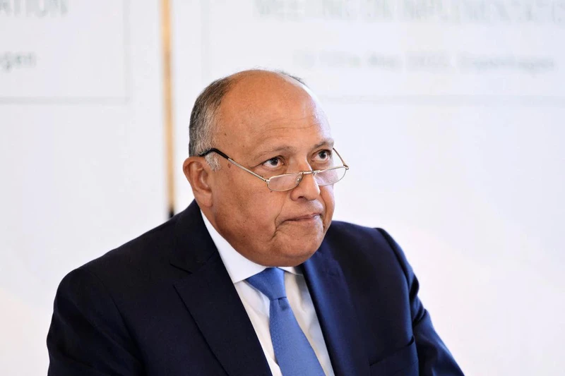 Ngoại trưởng Ai Cập Sameh Shoukry. (Ảnh: Reuters)