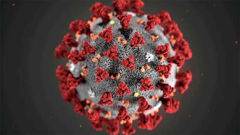 Hình ảnh minh họa virus corona do CDC Mỹ công bố. 