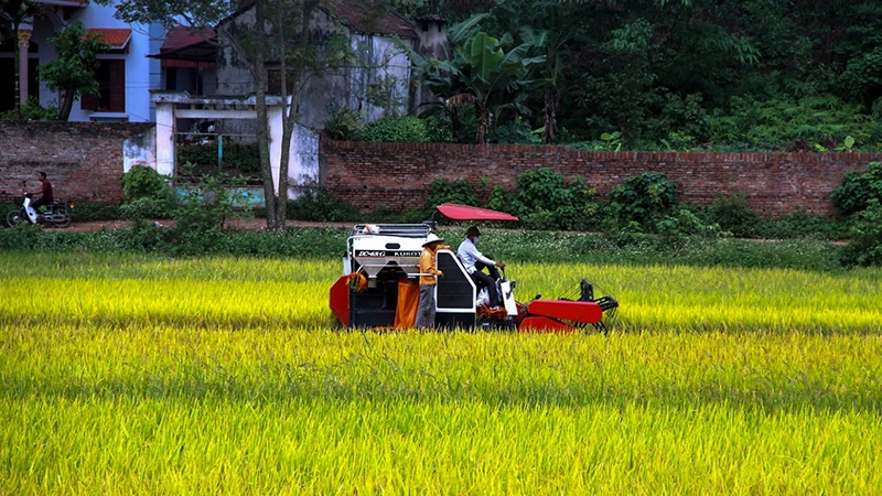 Nông thôn Lục Nam thay đổi từng ngày.