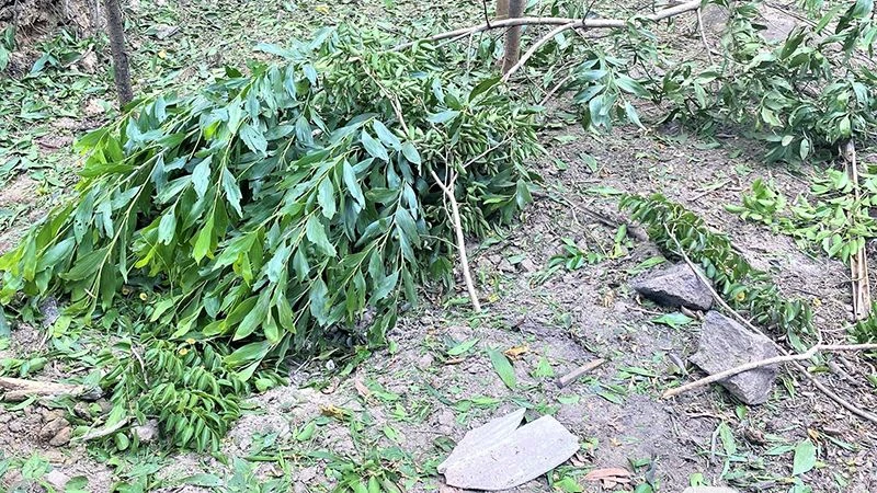 Khu vực xảy ra vụ nổ gây chết người tại xã Tam Thái, huyện Phú Ninh (Quảng Nam)