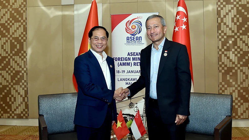 Bộ trưởng Ngoại giao Bùi Thanh Sơn có cuộc gặp song phương với Bộ trưởng Ngoại giao Singapore Vivian Balakrishnan. Ảnh: Bộ Ngoại giao Việt Nam