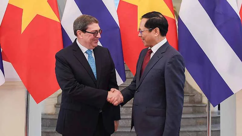 Phó Thủ tướng, Bộ trưởng Ngoại giao Bùi Thanh Sơn và Ủy viên Bộ Chính trị Đảng Cộng sản Cuba, Bộ trưởng Ngoại giao nước Cộng hòa Cuba Bruno Rodríguez Parrilla. (Ảnh: Bộ Ngoại giao Việt Nam)