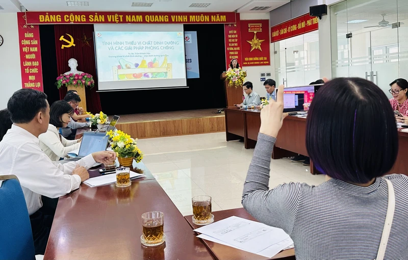 TS Trần Khánh Vân trao đổi về các giải pháp phòng chống thiếu vi chất dinh dưỡng. (Ảnh: Minh Hoàng)