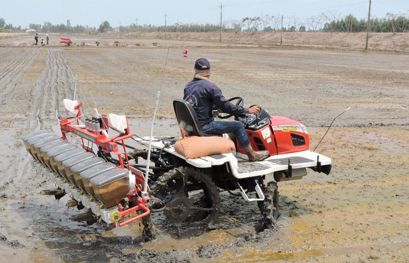 Gieo sạ các giống lúa trên địa bàn tỉnh Long An. 