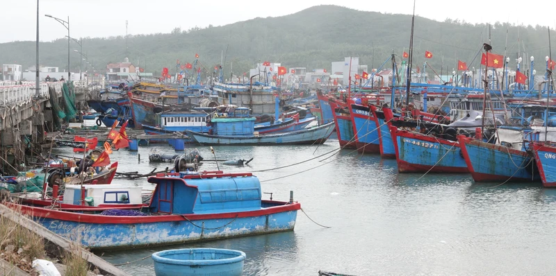 Ở nhiều địa phương, tàu cá đang nằm bờ, gây lãng phí. Ảnh: Phạm Anh