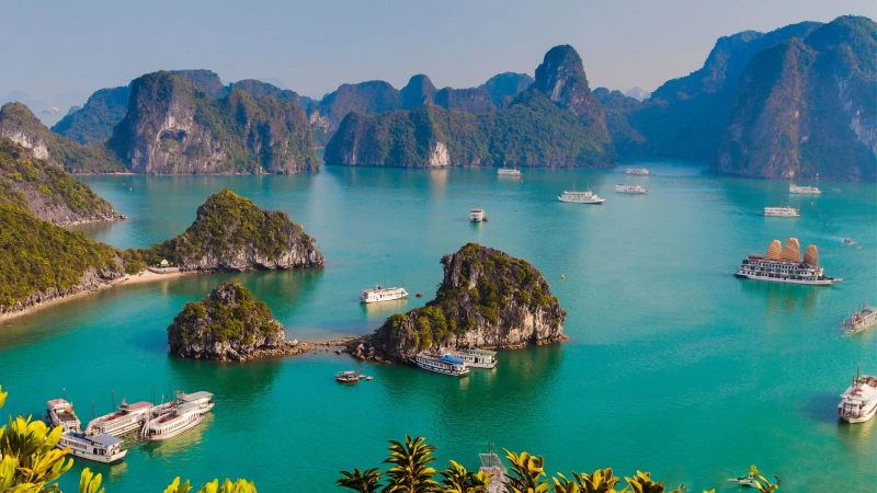 Quần thể Vịnh Hạ Long
