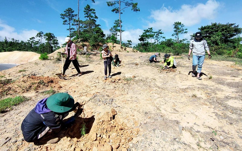 Nhóm Phủ xanh Măng Đen trong một buổi trồng rừng.
