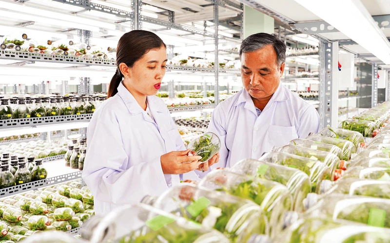 Phòng nuôi cấy mô hoa lan Khu công nghệ cao Thành phố Hồ Chí Minh.