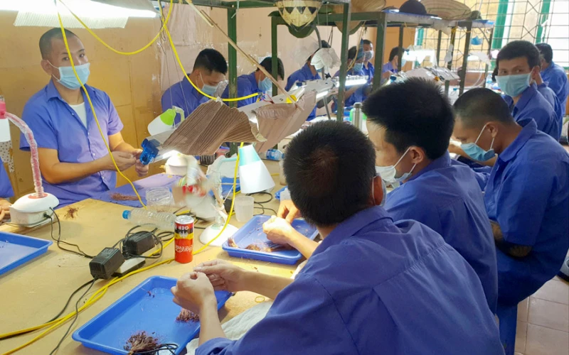 Các học viên được đào tạo nghề trong cơ sở cai nghiện ma túy bắt buộc.