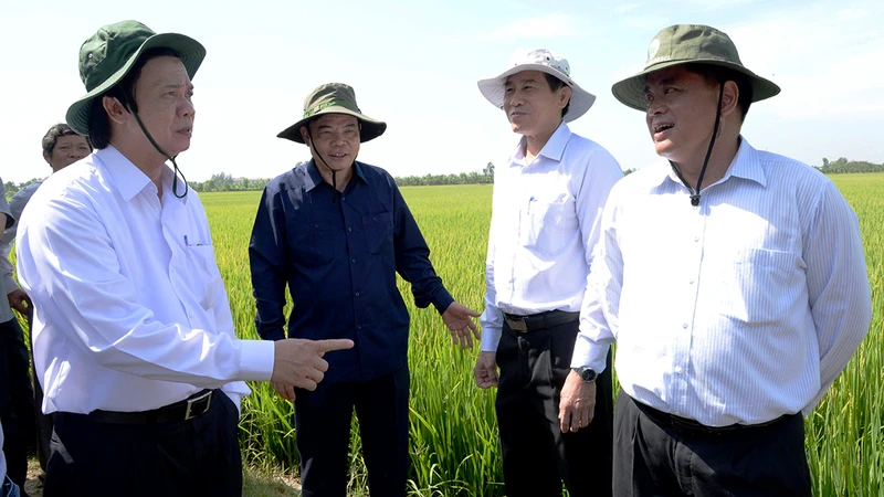 Ðồng chí Nguyễn Văn Danh (ngoài cùng bên trái) trong một chuyến kiểm tra tình hình hạn, mặn tại Tiền Giang.